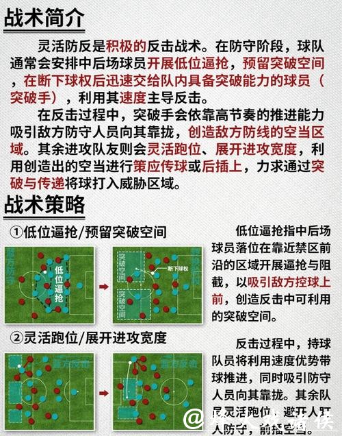 世界杯外围赛关键战术与策略制定分析
